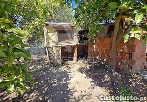 imagem_31