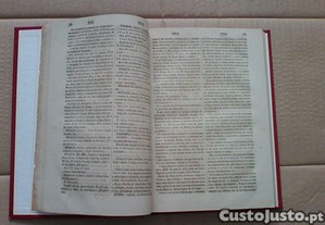 imagem_5