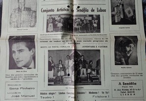 imagem_8