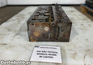imagem_7