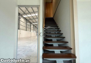 imagem_9