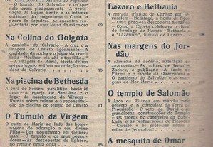 imagem_6
