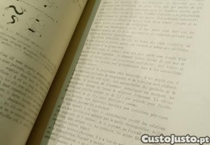 imagem_8