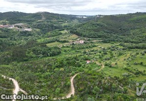 imagem_14
