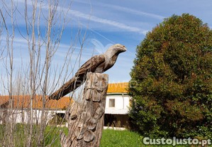 imagem_25