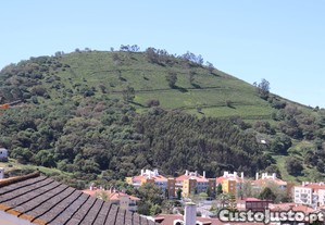 imagem_10