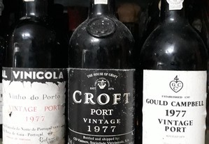 3 garrafas de vinho do Porto 1977