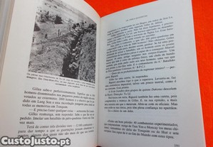 imagem_7