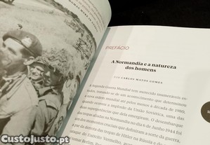 imagem_12
