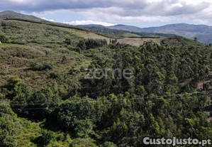 Terreno Com 7.7 Ha E Três Ruínas Em Britelo,...