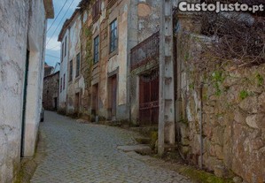 imagem_7
