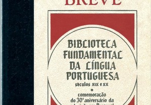 Vergílio Ferreira - Alegria Breve