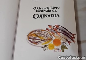 imagem_6