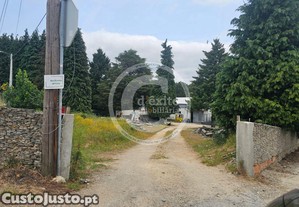 imagem_11
