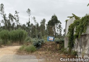 imagem_12