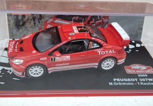 Peugeot 307 WRC (Rally Monte Carlo 2005)