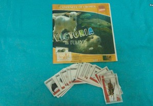imagem_2