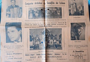 imagem_8