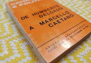 imagem_7