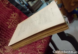 imagem_7