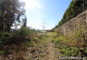 imagem_7