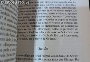 imagem_7