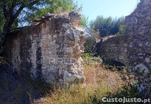 imagem_1