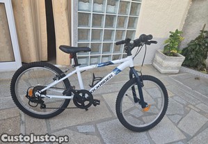Bicicleta 20