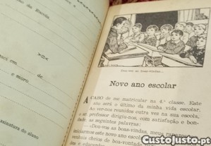 imagem_9