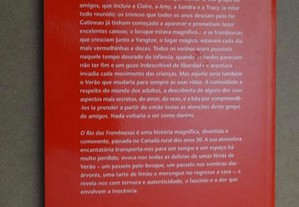 imagem_4