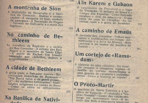 imagem_7