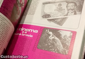 imagem_9