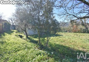 imagem_14