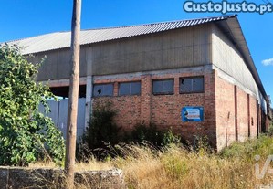 imagem_1