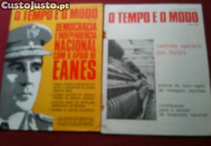 imagem_14