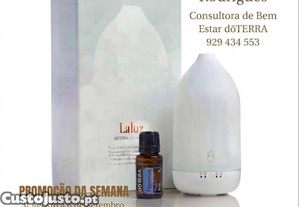 imagem_1