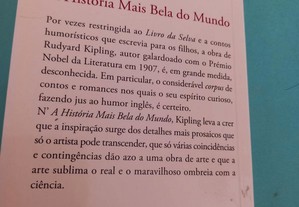 imagem_6