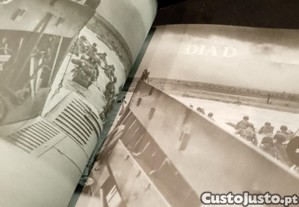 imagem_11