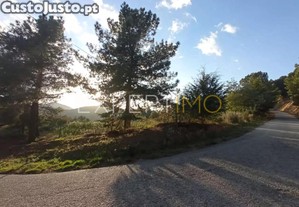 imagem_13