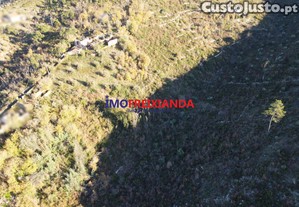 imagem_6