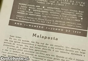 imagem_8