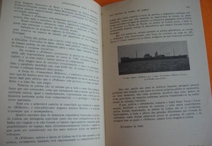 imagem_7