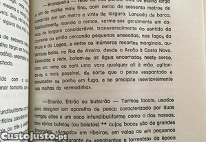 imagem_7