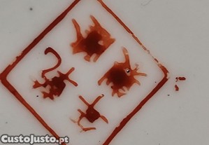 imagem_8