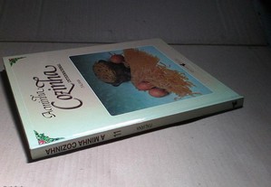 imagem_3