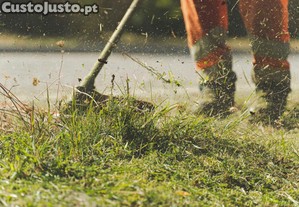 Fazemos limpeza de terrenos, servicos de jardinagem e poda arvores.