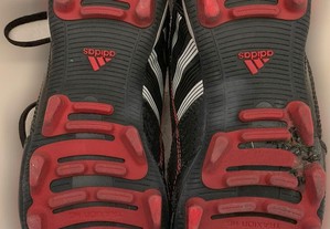 imagem_6