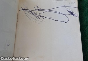 imagem_8