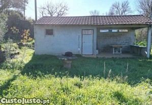 imagem_11