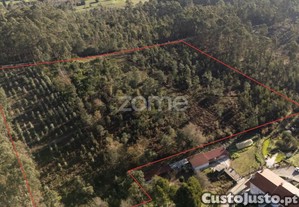 Terreno Rustico Com 22500 M2, Em Argoncilhe,...